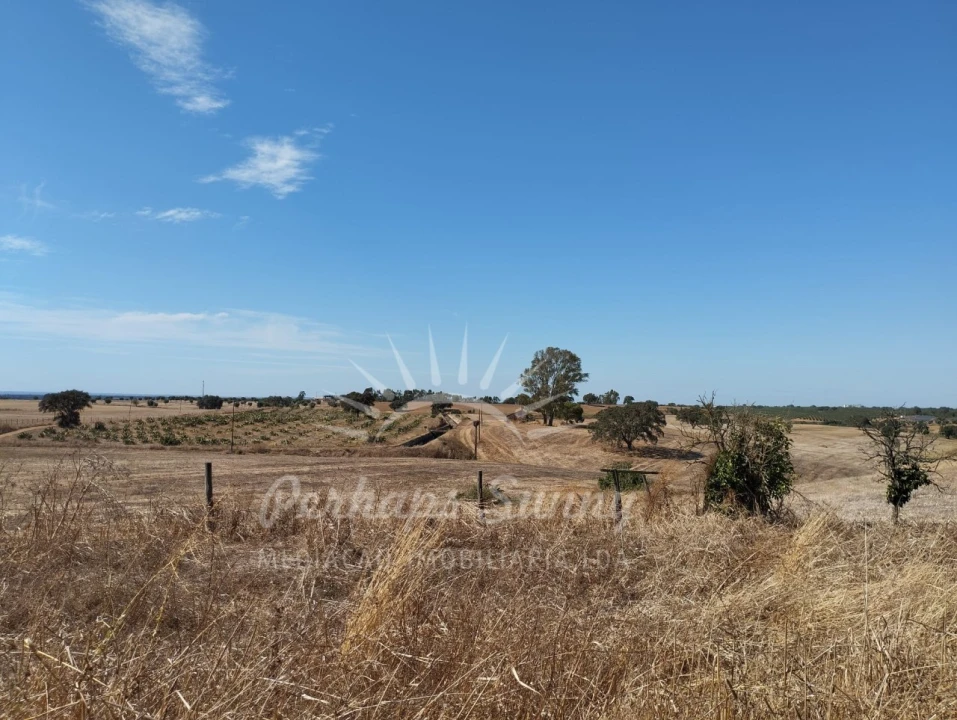 Quinta T1 para Venda em Alvalade Foto 17