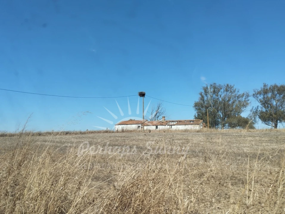 Quinta T1 para Venda em Alvalade Foto 18