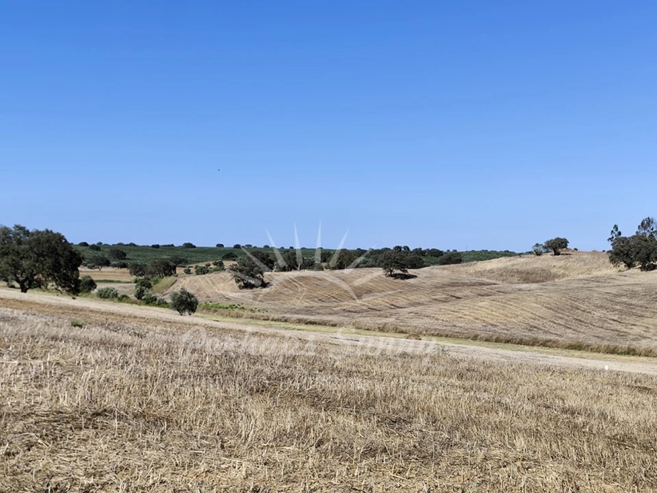 Quinta T1 para Venda em Alvalade Foto 32