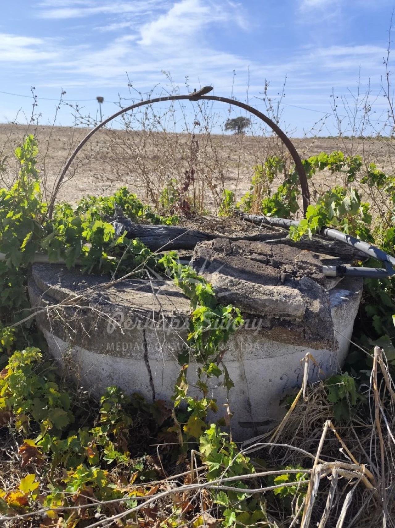 Quinta T1 para Venda em Alvalade Foto 38
