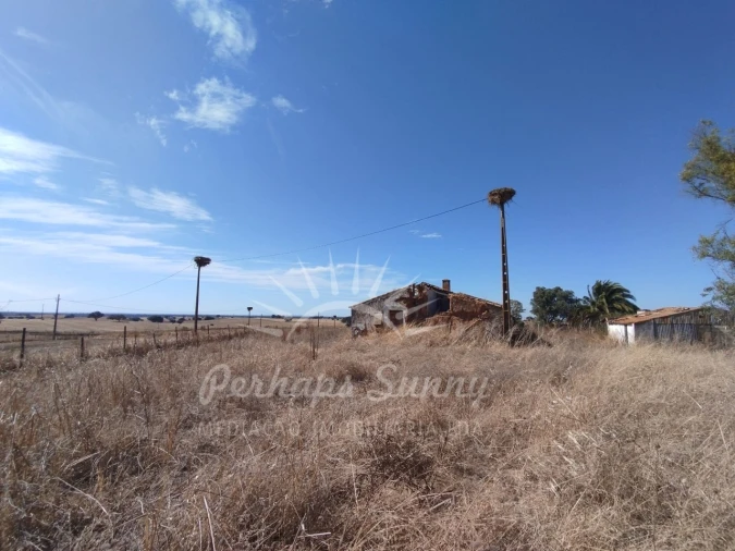 Quinta T1 para Venda em Alvalade Foto 5