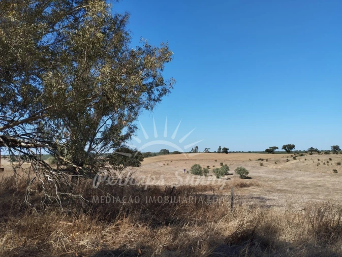 Quinta T1 para Venda em Alvalade Foto 1