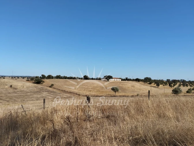 Quinta T1 para Venda em Alvalade Foto 8