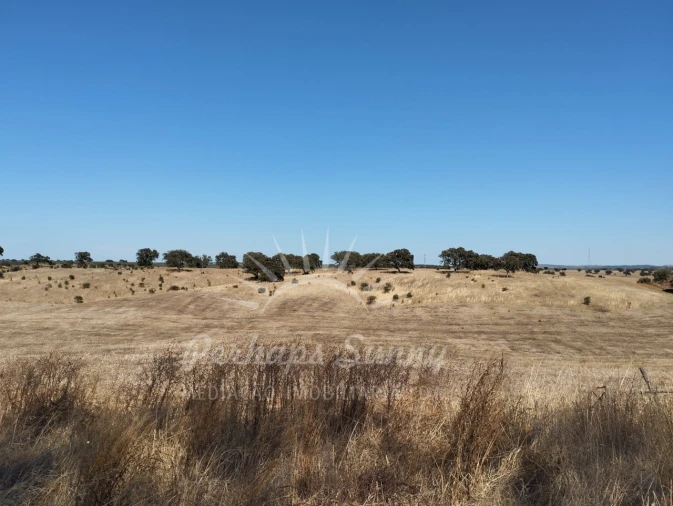 Quinta T1 para Venda em Alvalade Foto 12