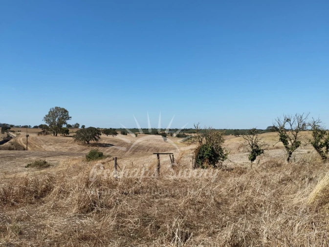 Quinta T1 para Venda em Alvalade Foto 15