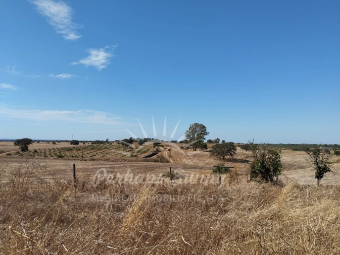 Quinta T1 para Venda em Alvalade Foto 17