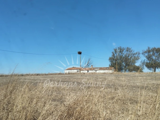 Quinta T1 para Venda em Alvalade Foto 18