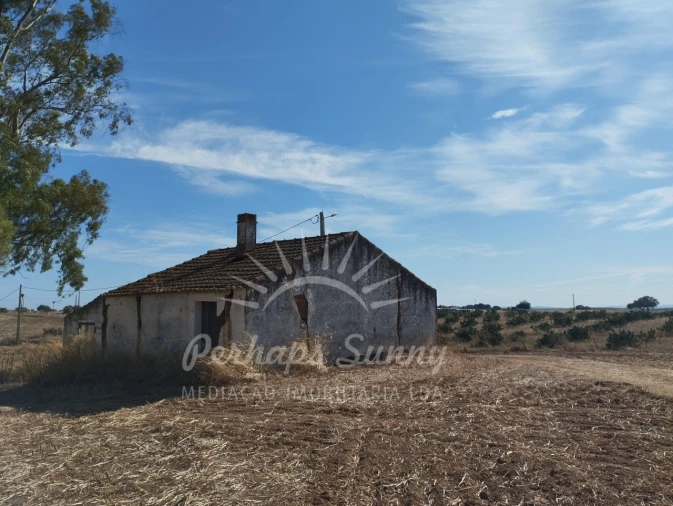 Quinta T1 para Venda em Alvalade Foto 25