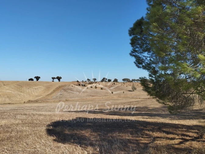 Quinta T1 para Venda em Alvalade Foto 27