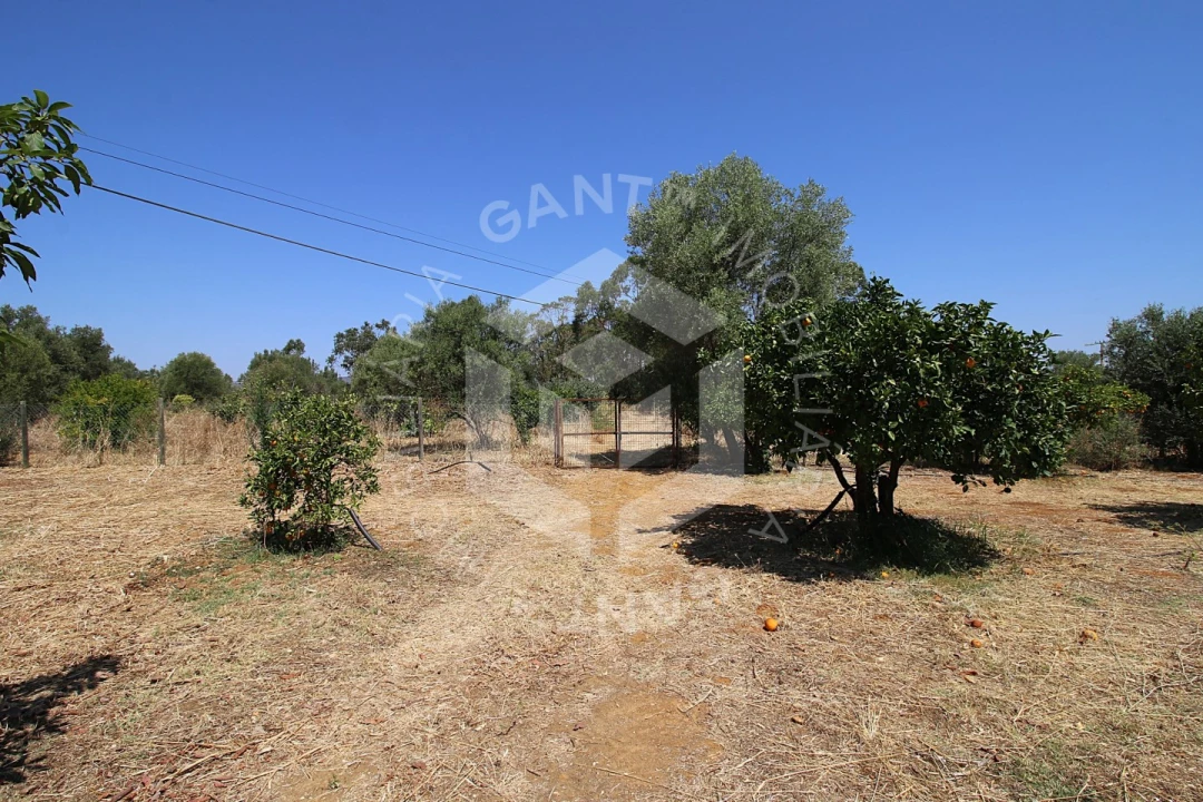 Moradia T5 para Venda em Conceição e Estoi Foto 92