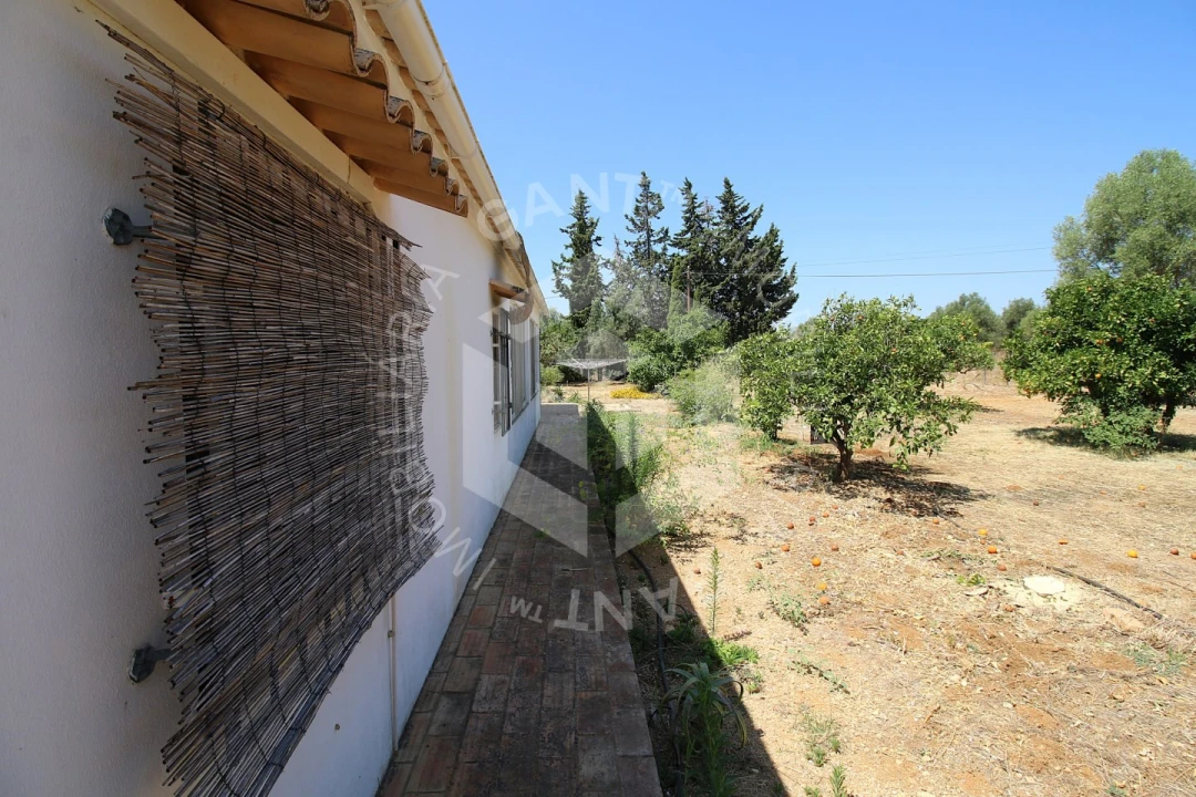 Moradia T5 para Venda em Conceição e Estoi Foto 91