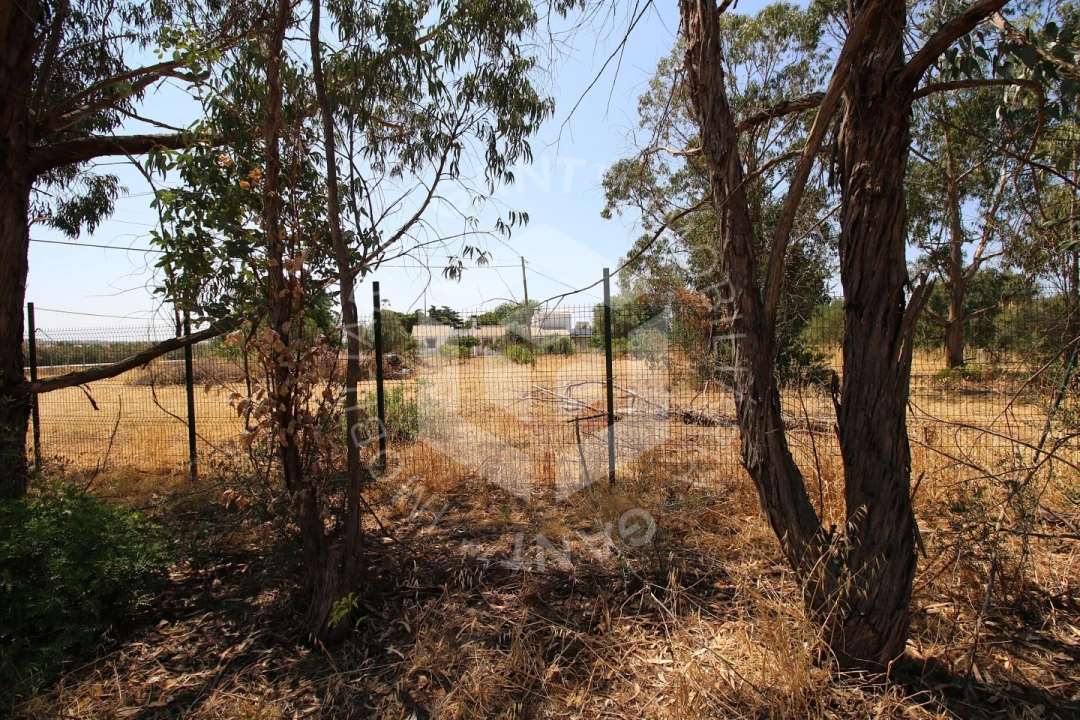 Moradia T5 para Venda em Conceição e Estoi Foto 94