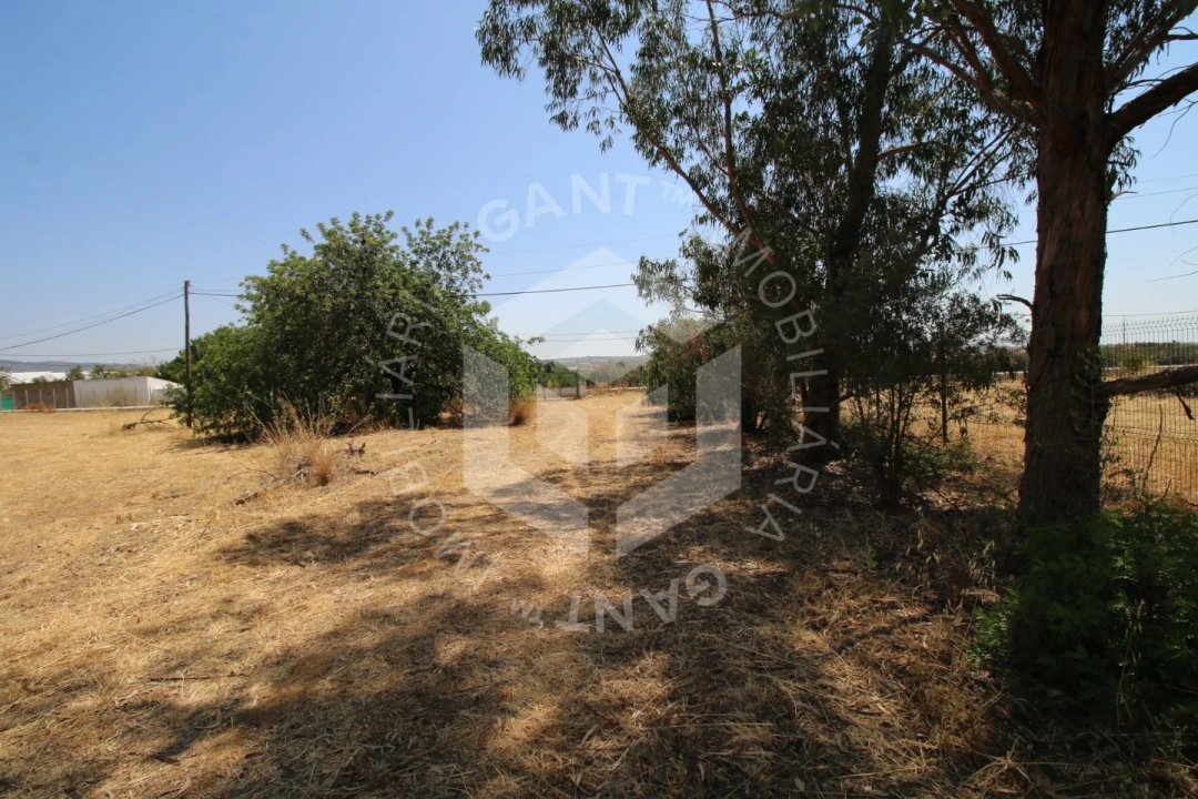 Moradia T5 para Venda em Conceição e Estoi Foto 96
