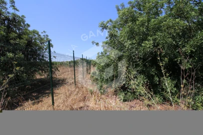 Moradia T5 para Venda em Conceição e Estoi