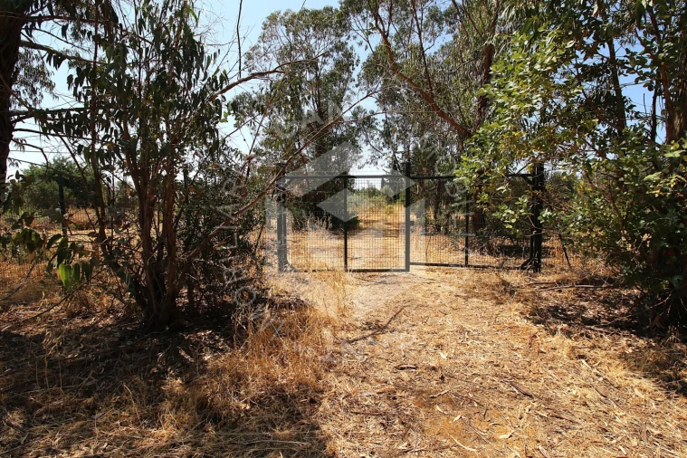 Moradia T5 para Venda em Conceição e Estoi Foto 93