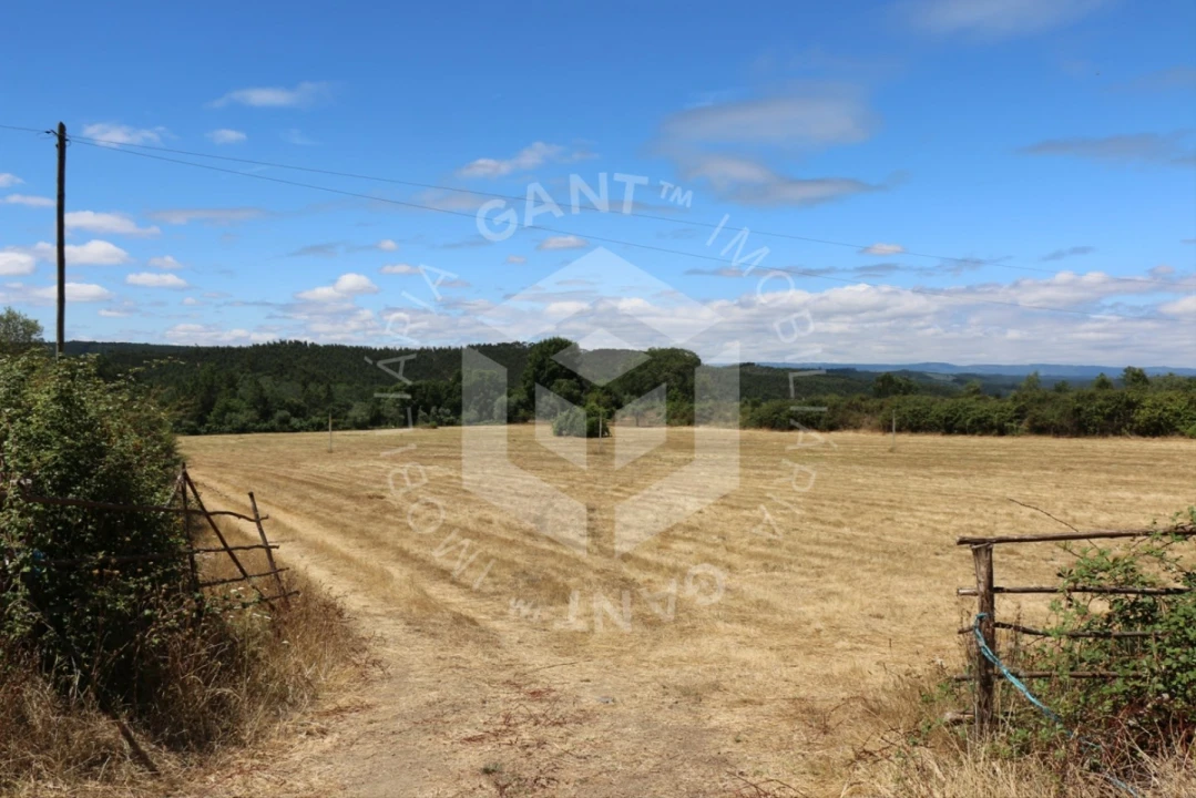 Terreno Misto para Venda em Ázere e Covelo Foto 1