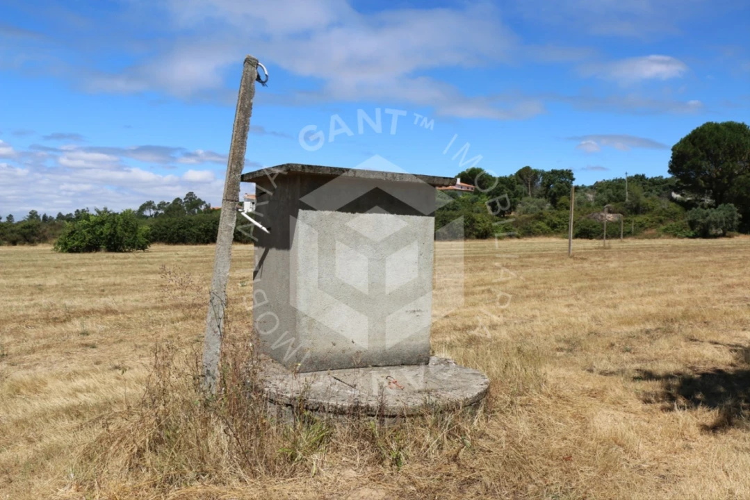 Terreno Misto para Venda em Ázere e Covelo Foto 3