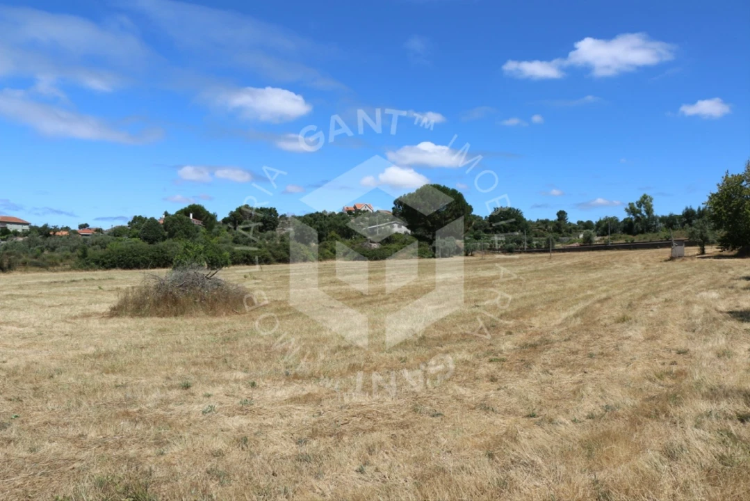 Terreno Misto para Venda em Ázere e Covelo Foto 5