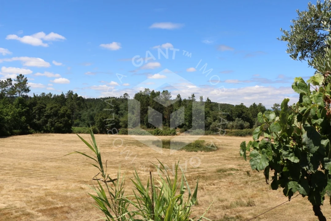 Terreno Misto para Venda em Ázere e Covelo Foto 6