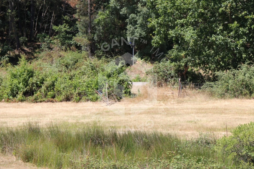 Terreno Misto para Venda em Ázere e Covelo Foto 7