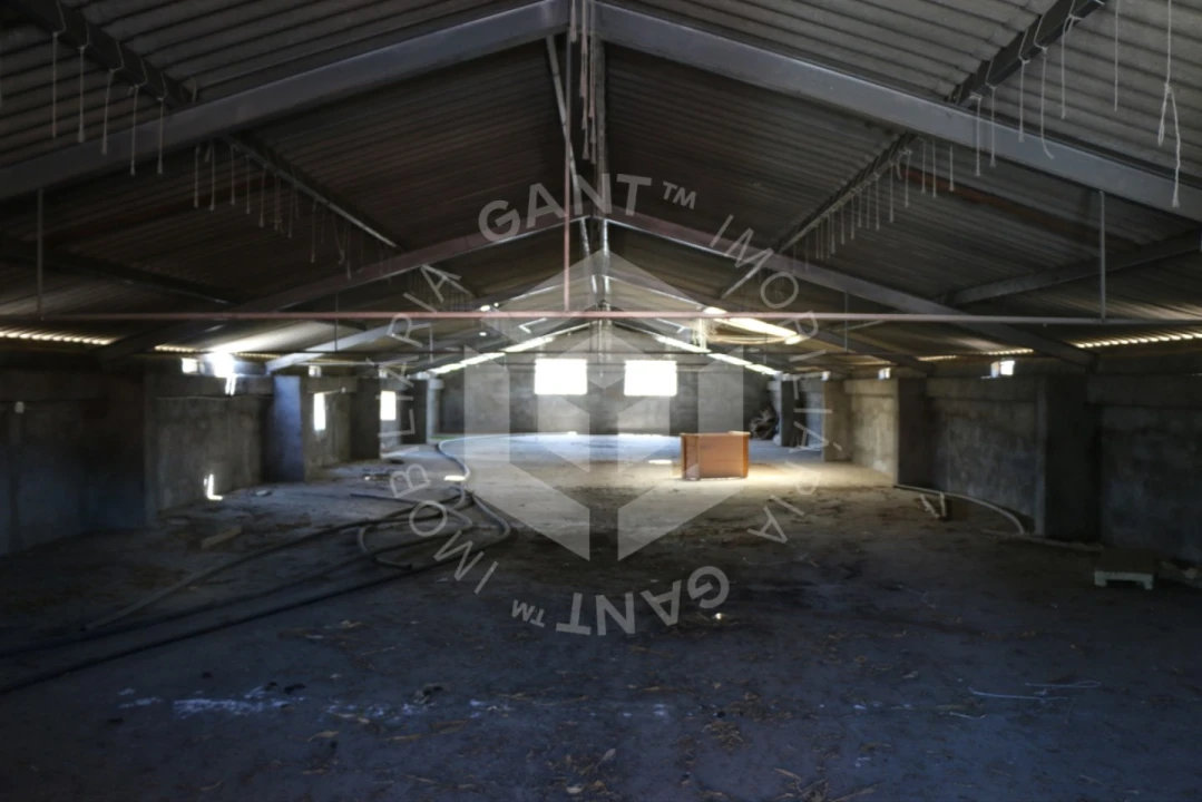 Terreno Misto para Venda em Ázere e Covelo Foto 12