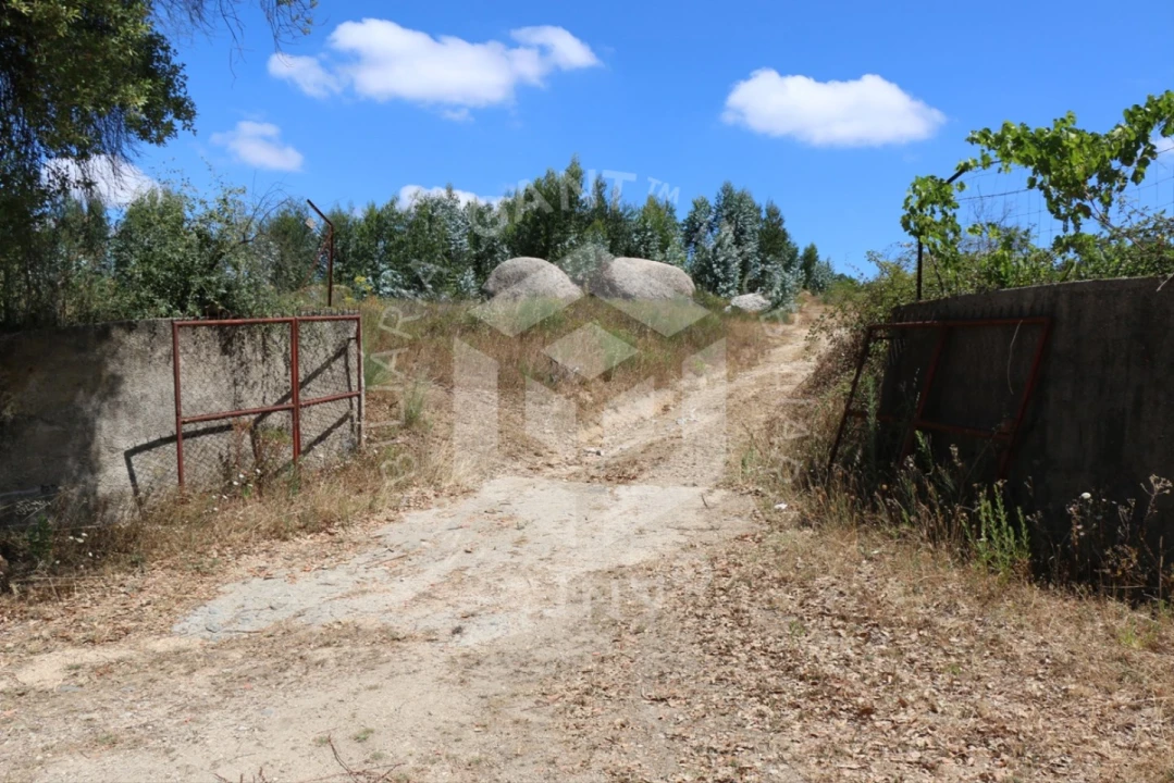 Terreno Misto para Venda em Ázere e Covelo Foto 13