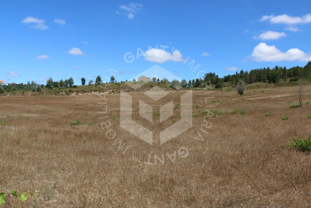 Terreno Misto para Venda em Ázere e Covelo Foto 14