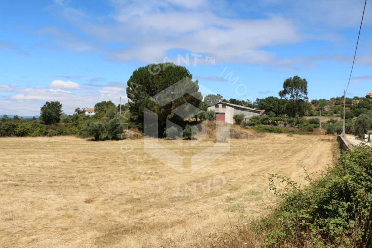 Terreno Misto para Venda em Ázere e Covelo Foto 2