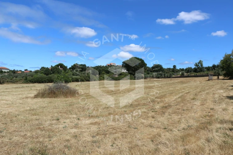 Terreno Misto para Venda em Ázere e Covelo Foto 8