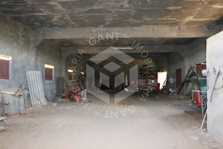 Terreno Misto para Venda em Ázere e Covelo Foto 11