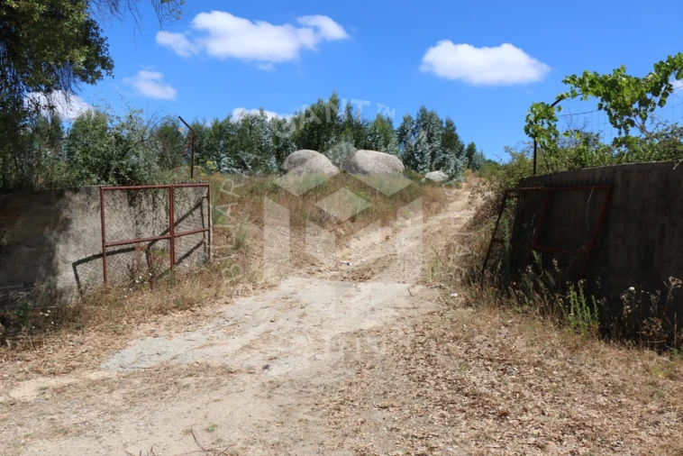 Terreno Misto para Venda em Ázere e Covelo Foto 13