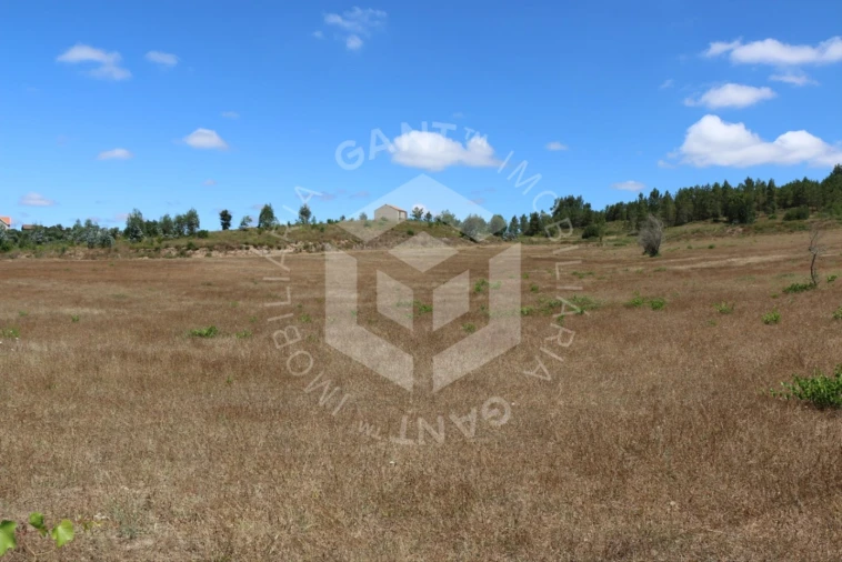 Terreno Misto para Venda em Ázere e Covelo Foto 14