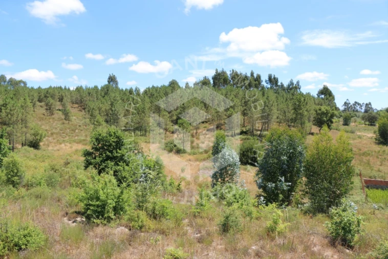 Terreno Misto para Venda em Ázere e Covelo Foto 15
