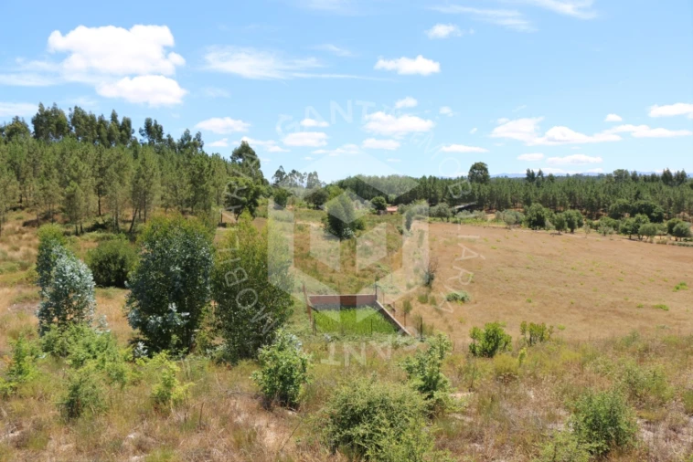 Terreno Misto para Venda em Ázere e Covelo Foto 16