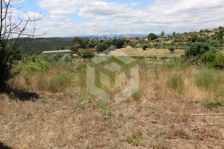 Terreno Misto para Venda em Ázere e Covelo Foto 17