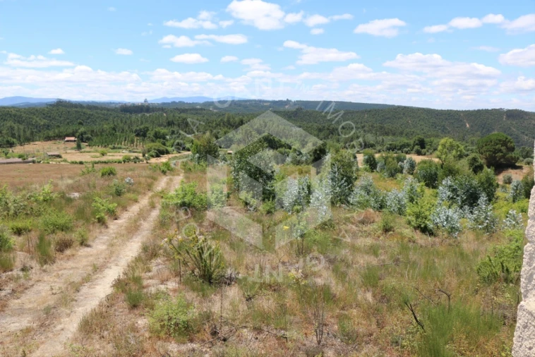 Terreno Misto para Venda em Ázere e Covelo Foto 18