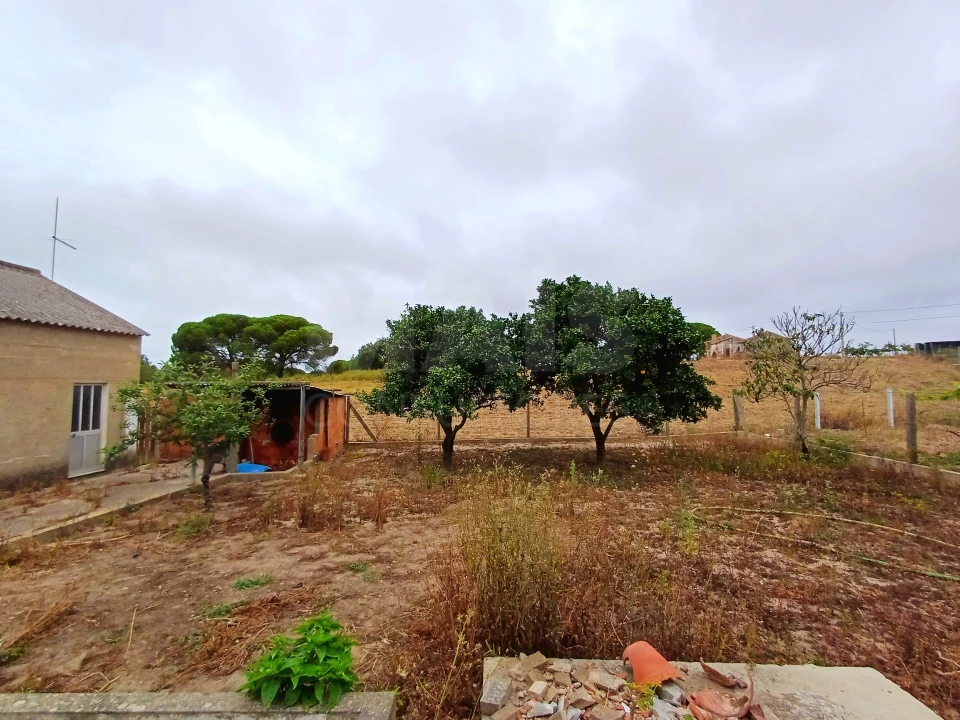 Moradia T3 para Arrendamento em Melides Foto 3