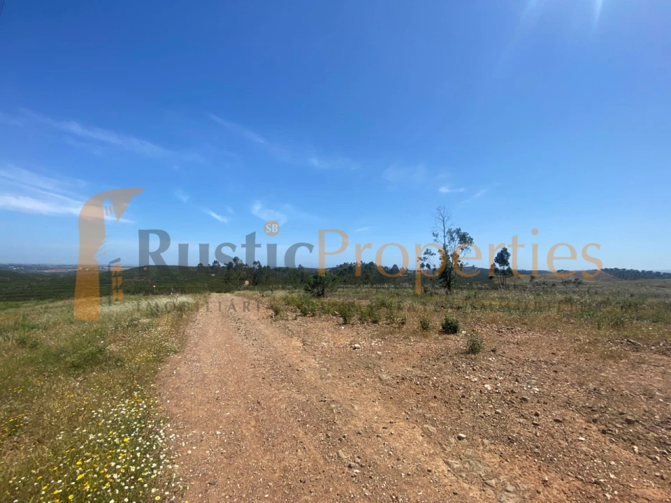Terreno para Venda em Mexilhoeira Grande Foto 6