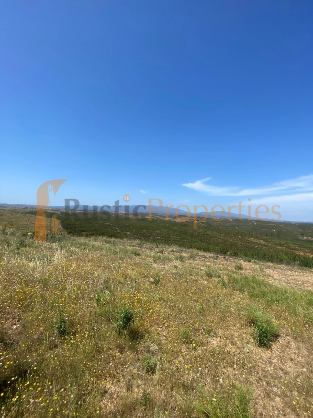 Terreno para Venda em Mexilhoeira Grande Foto 7