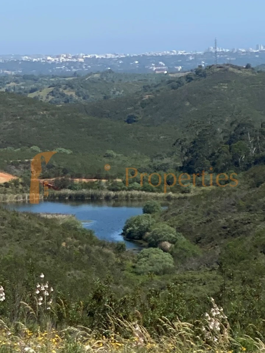 Terreno para Venda em Mexilhoeira Grande Foto 2