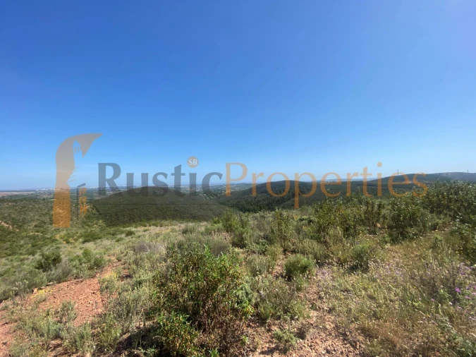 Terreno para Venda em Mexilhoeira Grande Foto 3