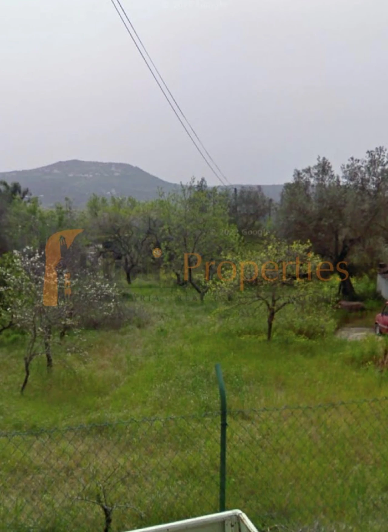Terreno para Venda em Querença, Tôr e Benafim Foto 4
