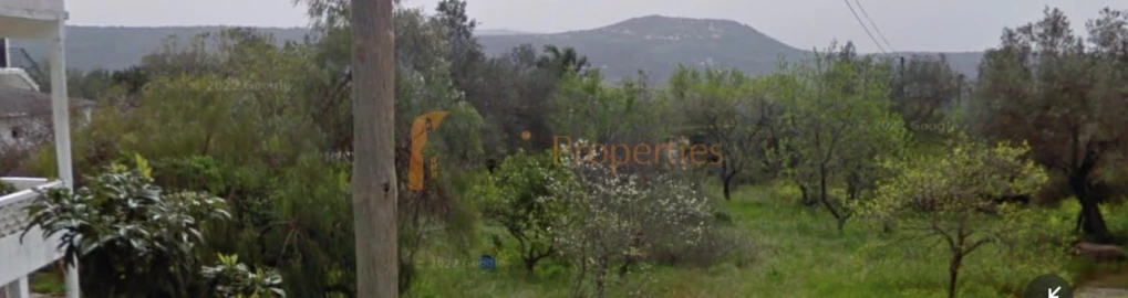Terreno para Venda em Querença, Tôr e Benafim