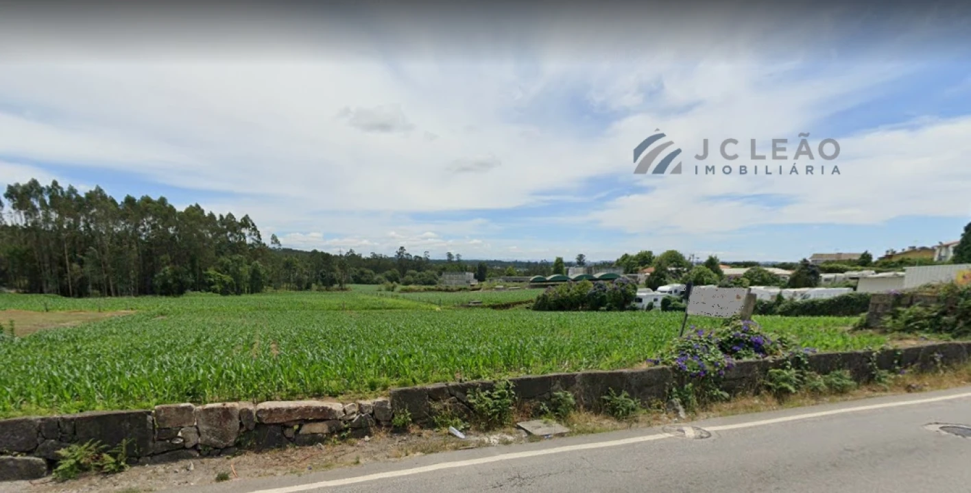 Terreno para Venda em Muro Foto 1