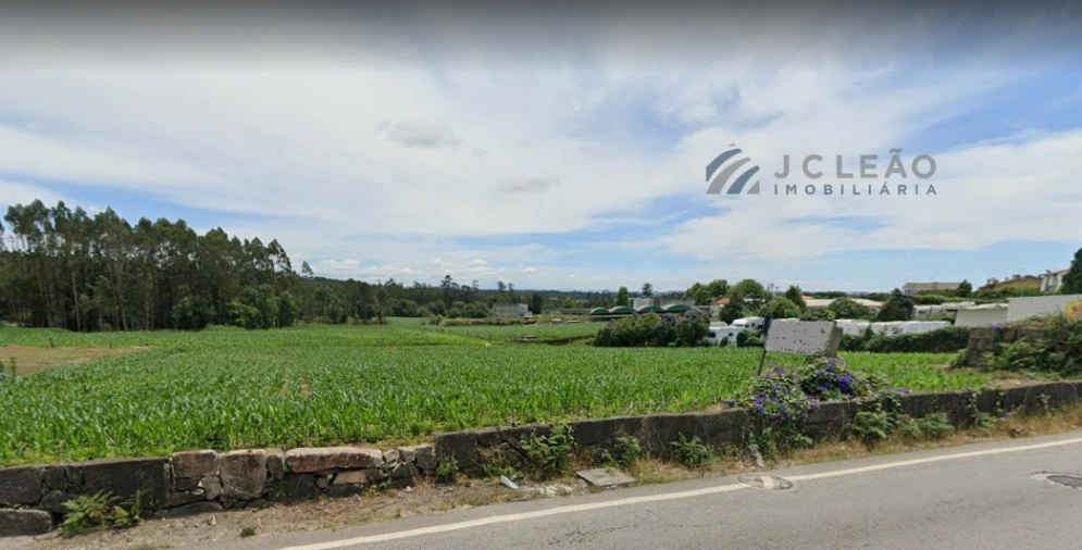 Terreno para Venda em Muro Foto 1