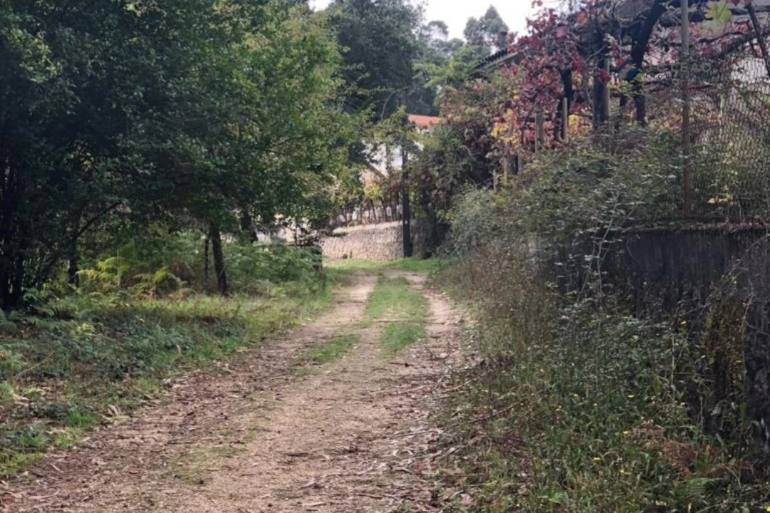 Terreno para Venda em Paço de Sousa Foto 14