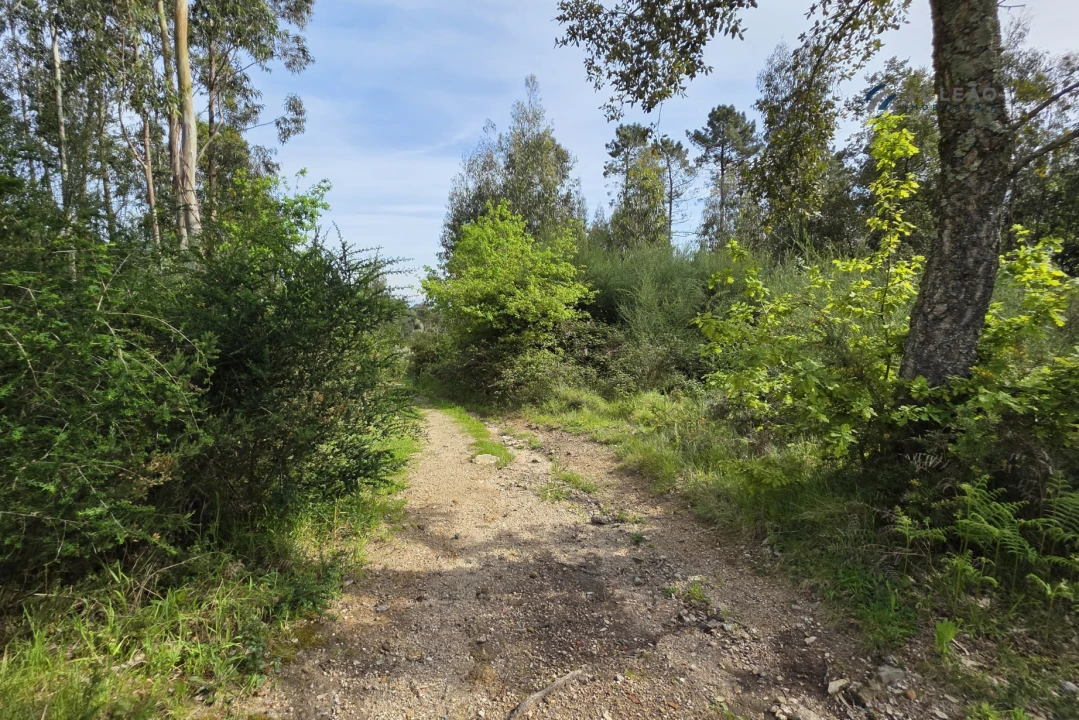 Terreno para Venda em Paço de Sousa Foto 22