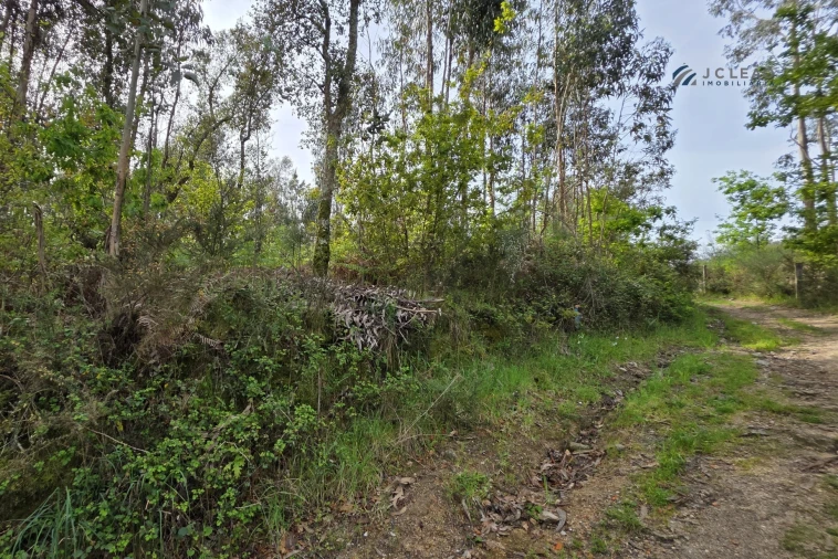 Terreno para Venda em Paço de Sousa Foto 6