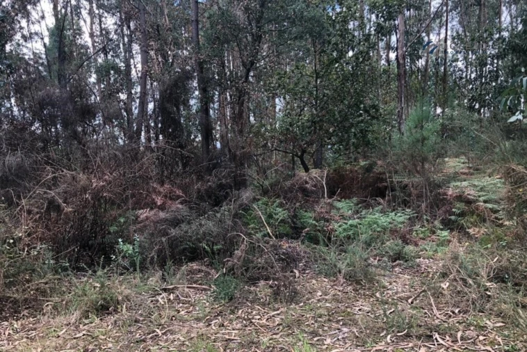 Terreno para Venda em Paço de Sousa Foto 12