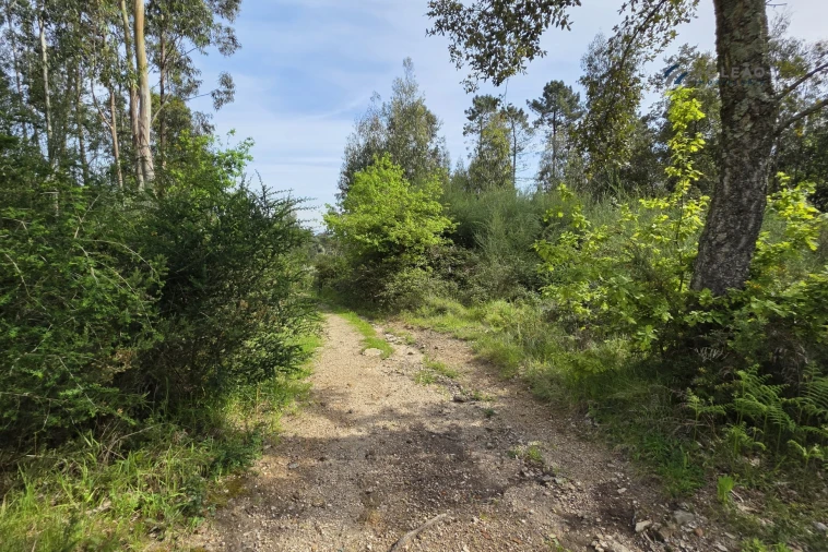 Terreno para Venda em Paço de Sousa Foto 22
